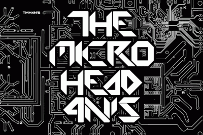 logo The Micro Head 4N'S